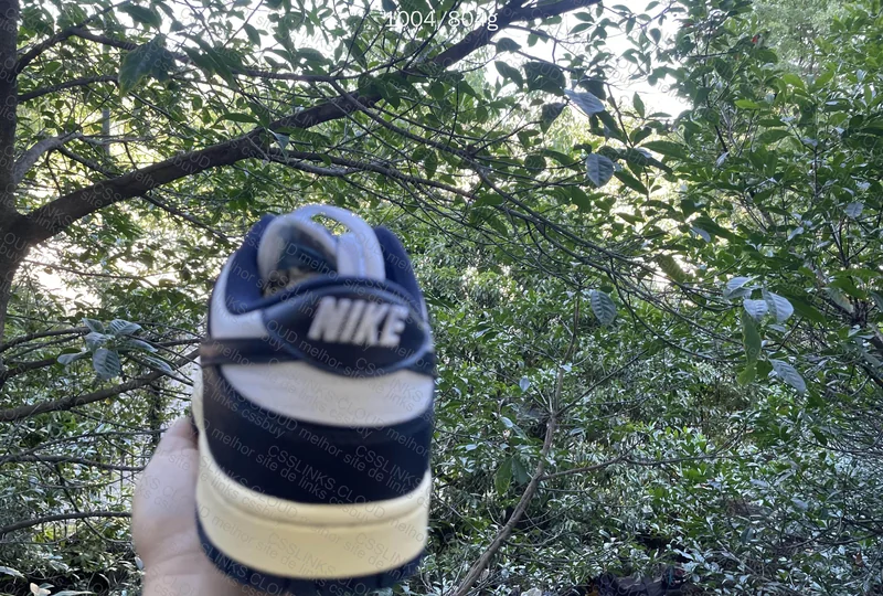 Dunk Vintage Navy (Luz natural) 2
