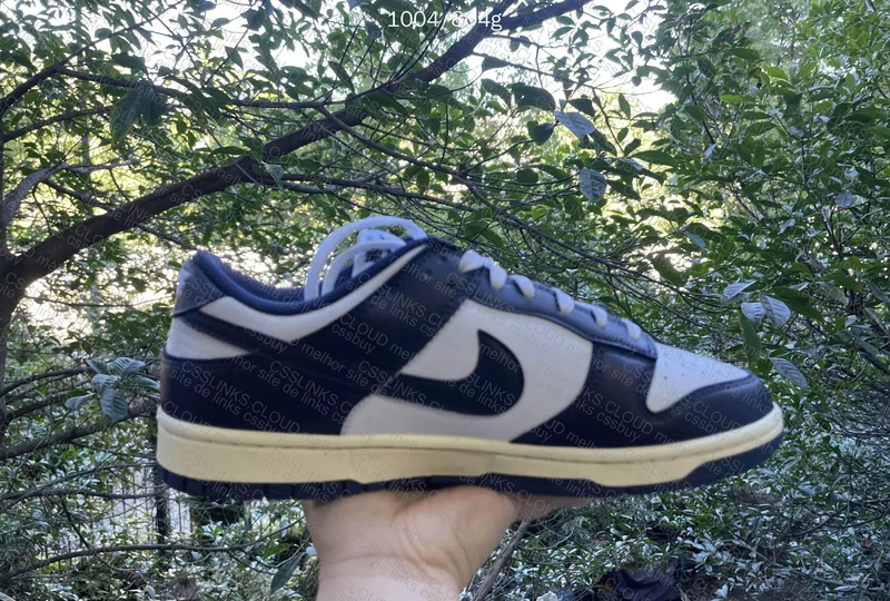 Dunk Vintage Navy (Luz natural) 3