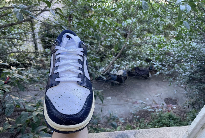 Dunk Vintage Navy (Luz natural) 4