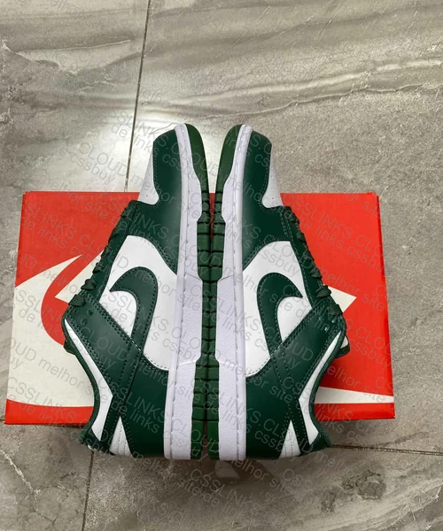 Dunk VT (PAI) 2
