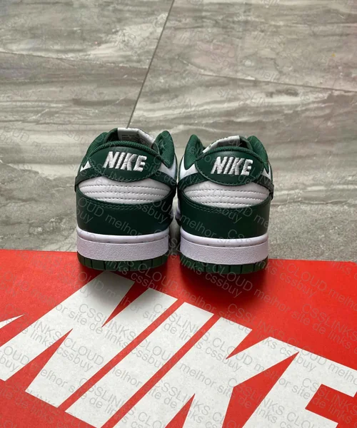 Dunk VT (PAI) 7