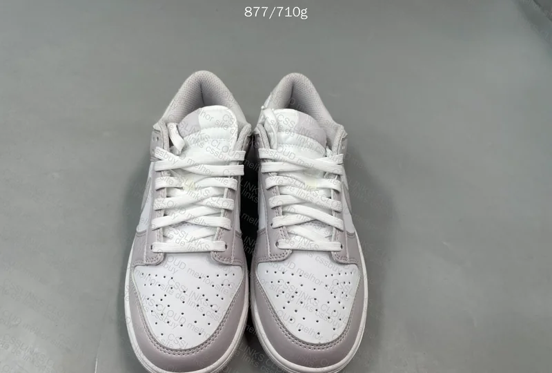 Dunk VT Venice 4