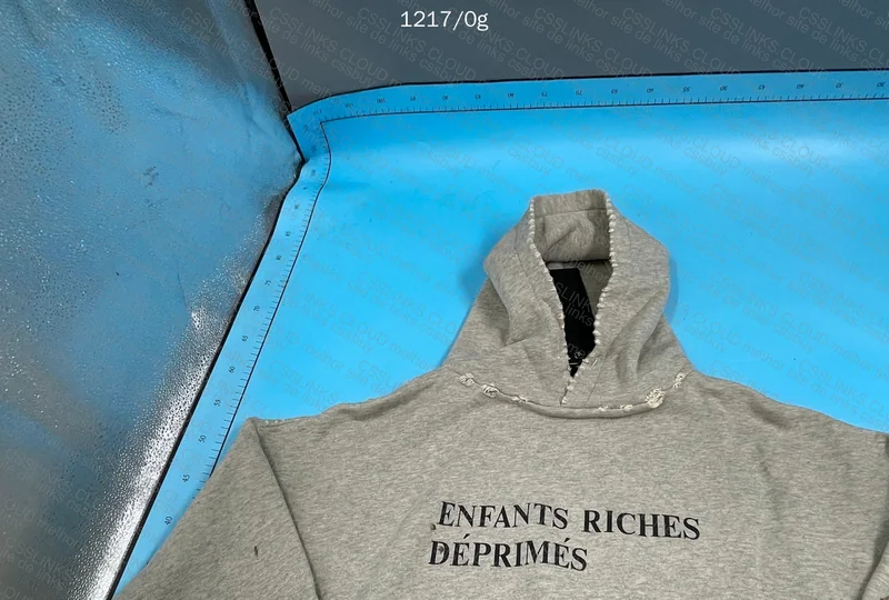 ERD Logo Hoodie 3
