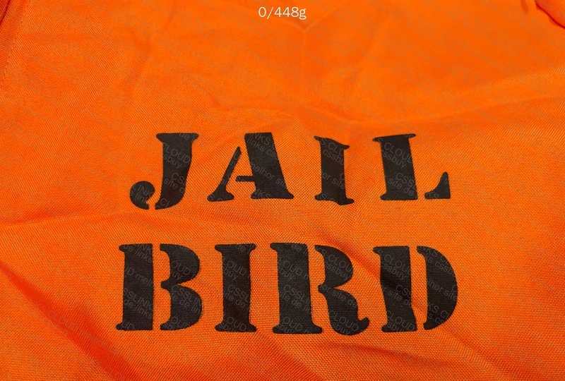 Prisoner Costume 2