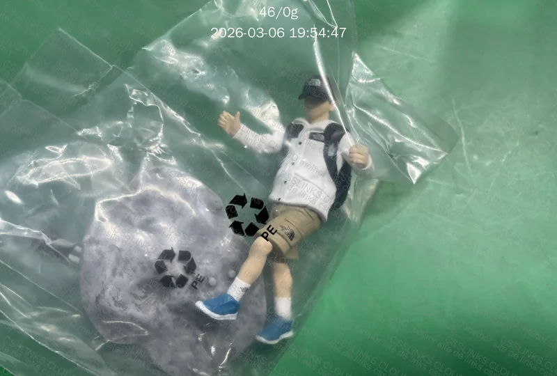Figure Action The North Face 2