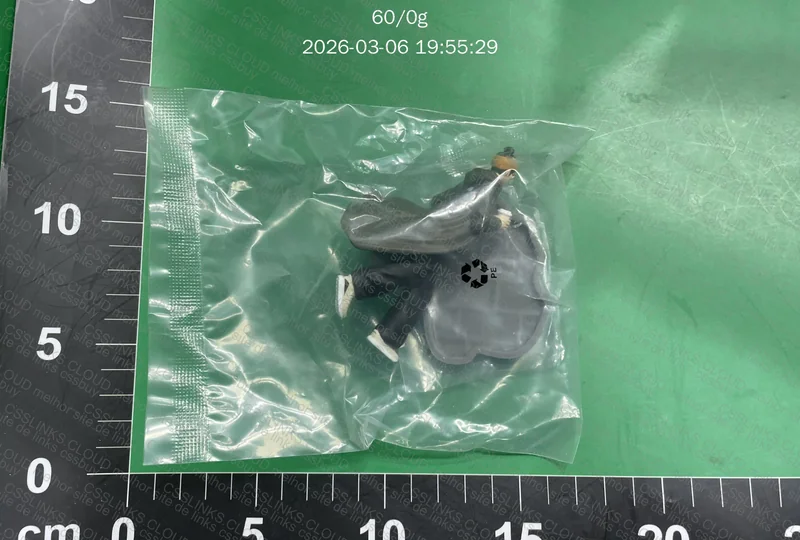 Figure Action The North Face 4