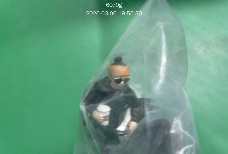 Figure Action The North Face 6