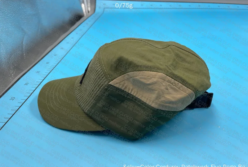 Patagonia Five Panel 2