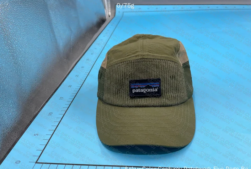 Patagonia Five Panel 4
