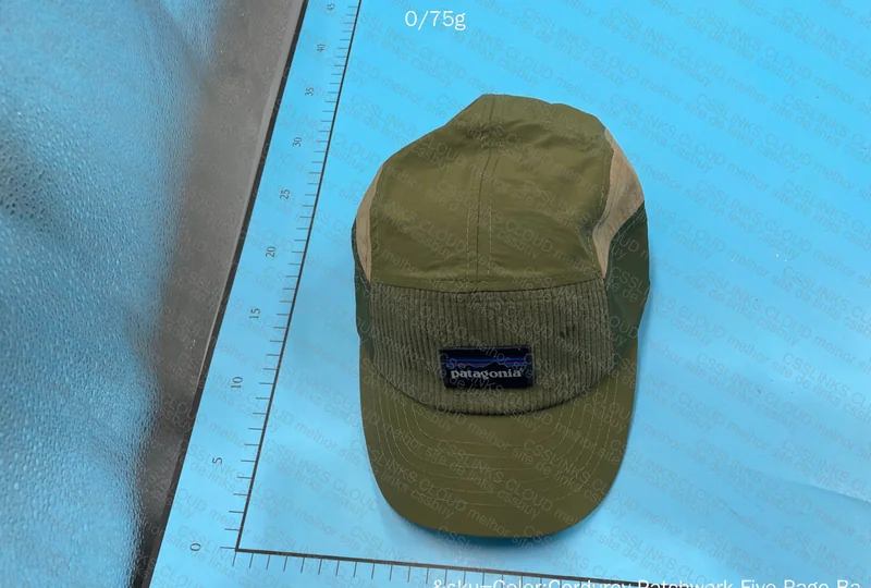Patagonia Five Panel 5