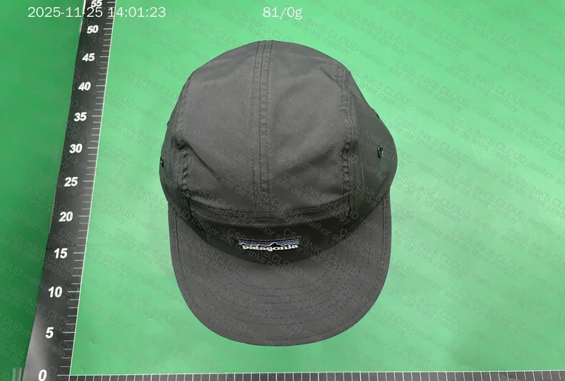 Patagonia Five Panel