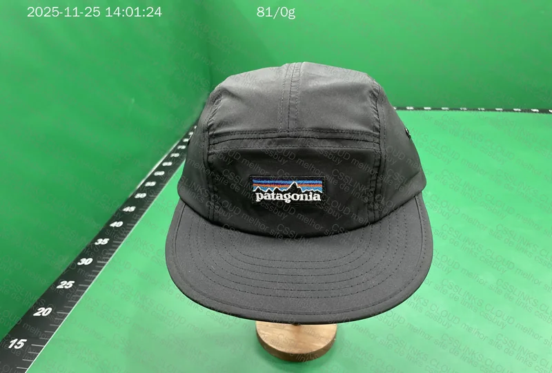 Patagonia Five Panel 2