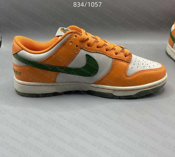 Florida A&M x Nike Dunk