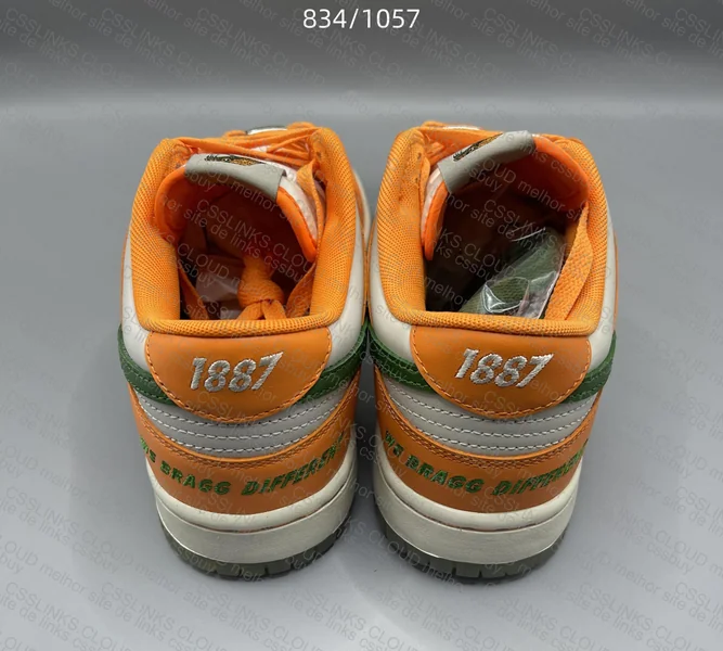 Florida A&M x Nike Dunk 2