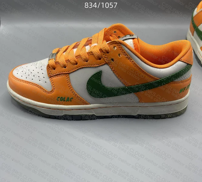 Florida A&M x Nike Dunk 3