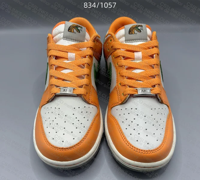 Florida A&M x Nike Dunk 5