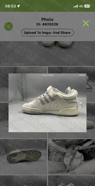 Forum Low x Bad Bunny 5