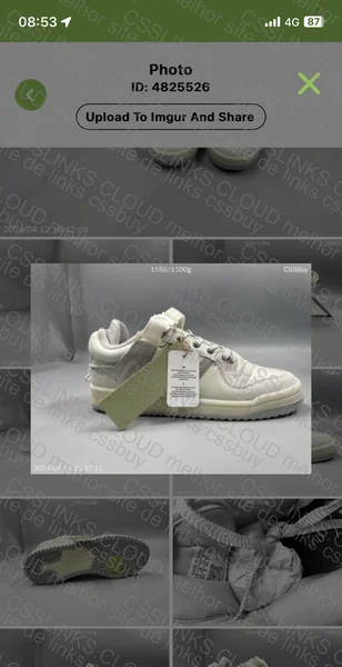 Forum Low x Bad Bunny 6