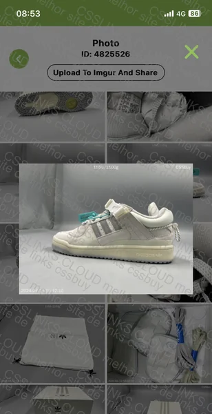 Forum Low x Bad Bunny 8