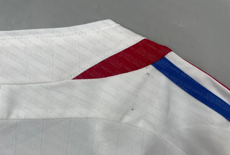 France 06/07 Home 8