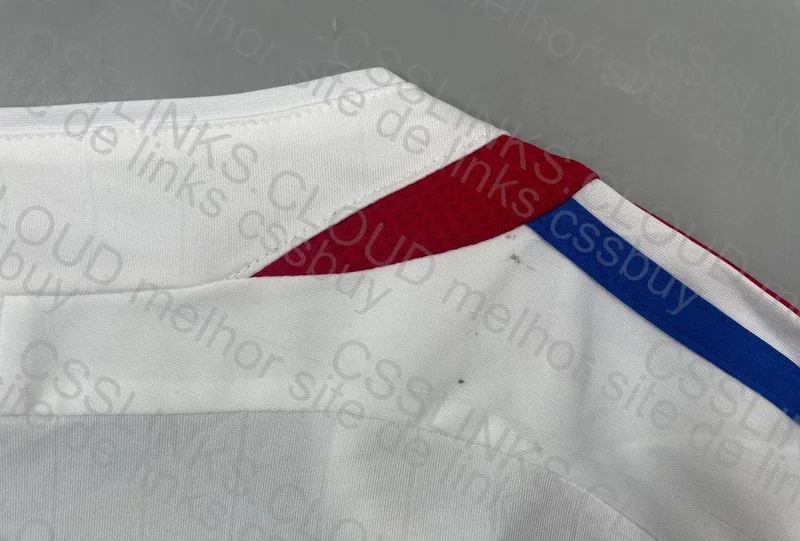 France 06/07 Home 9