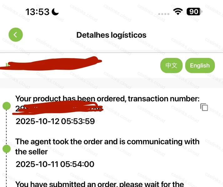 Nike World Tour Verde 2