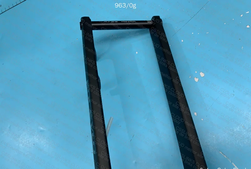 Carbon Fork 2