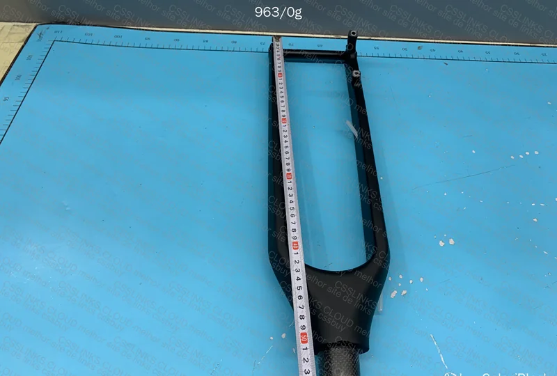 Carbon Fork 4