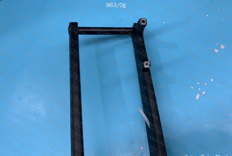 Carbon Fork 6