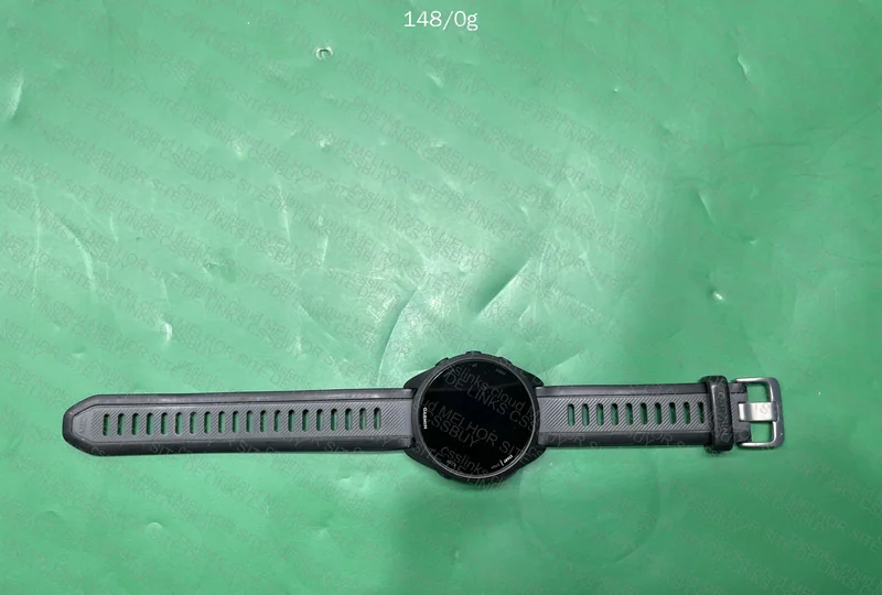 Garmin 165 Forerunner 2
