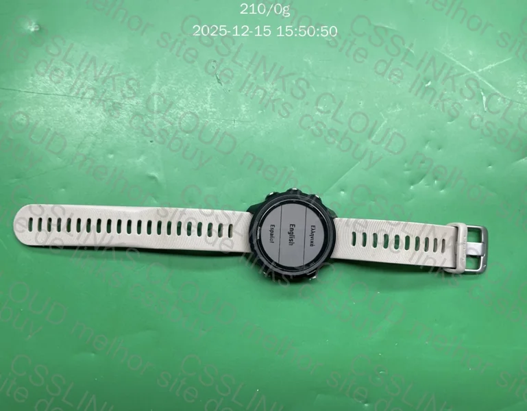 Garmin 245 Forerunner 2
