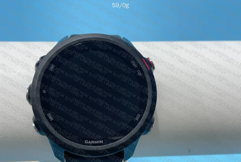 garmin 245 music