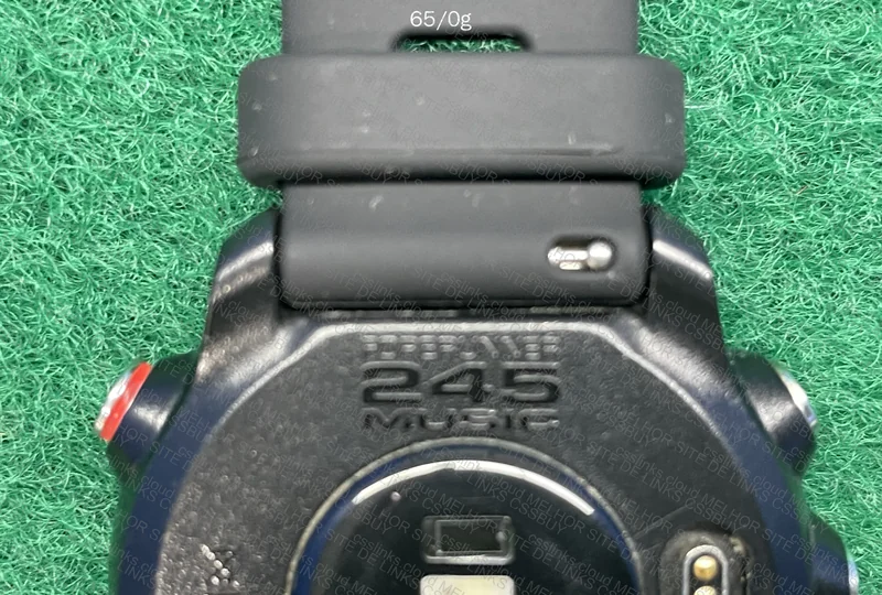 Garmin 245 music (ajuda) 4
