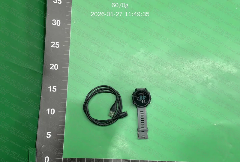 Garmin 245 versão global