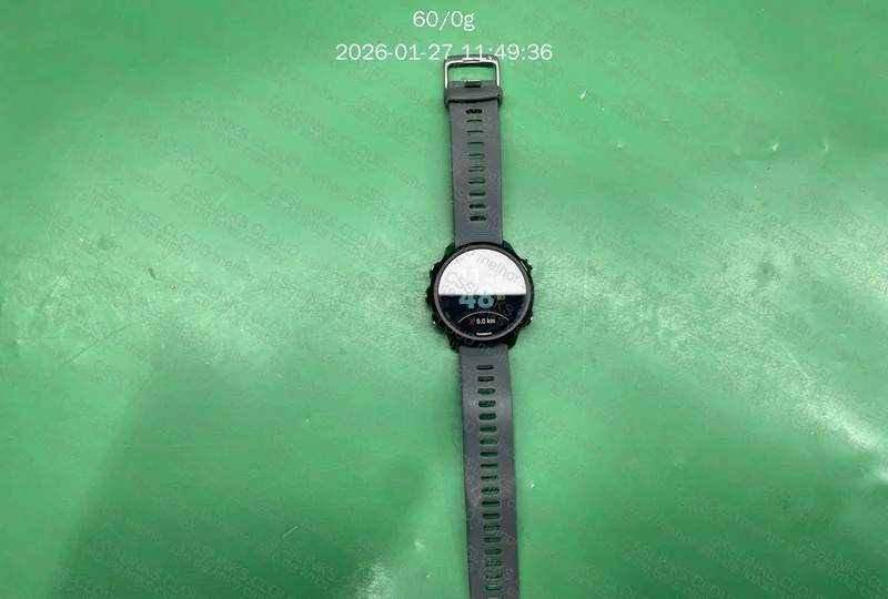 Garmin 245 versão global 2