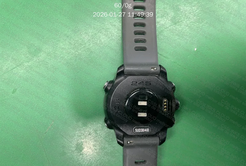 Garmin 245 versão global 3