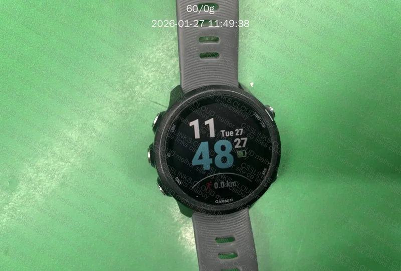 Garmin 245 versão global 4
