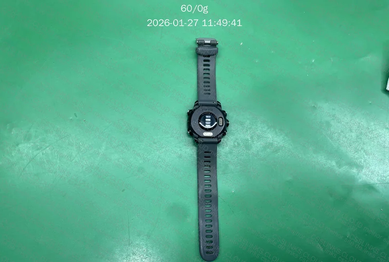 Garmin 245 versão global 5
