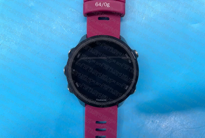 Garmin Forerunner 245 3
