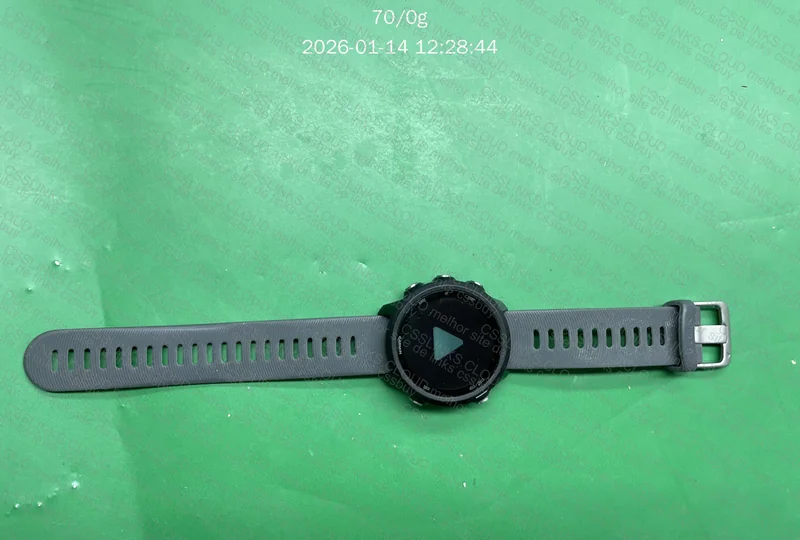 Garmin Forerunner 245 2