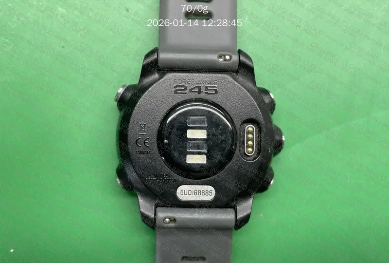 Garmin Forerunner 245 4