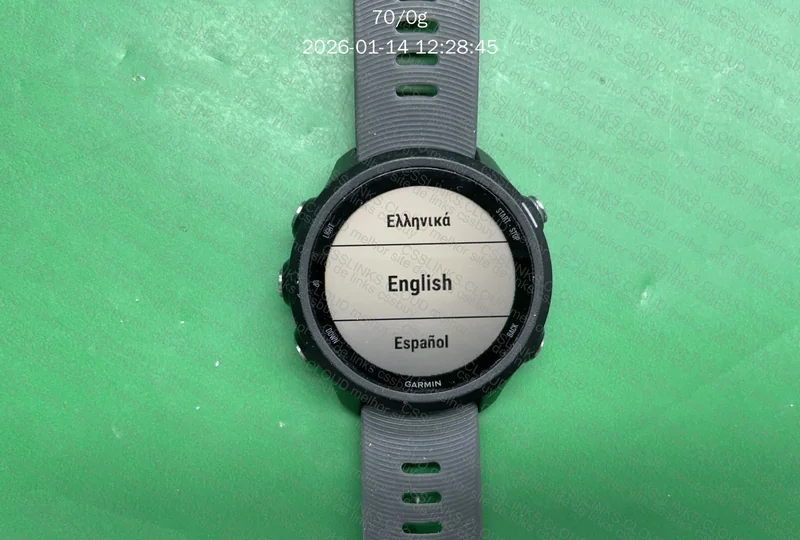 Garmin Forerunner 245 5