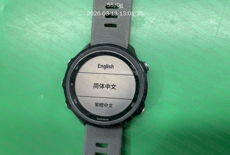 Garmin Forerunner 245