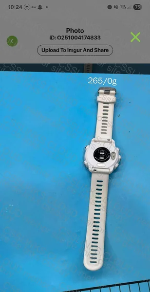 GARMIN FORERUNNER 245 MUSIC 2