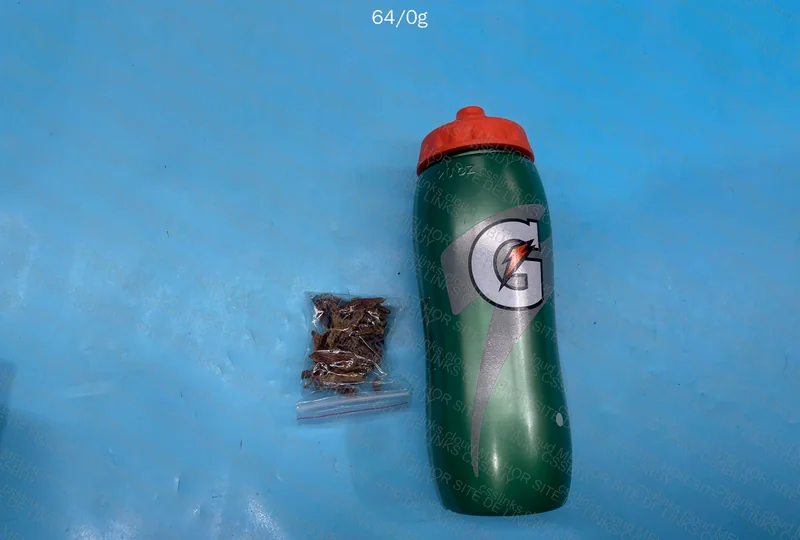 Gatorade Squeeze Bottle with Tobacco Leaves