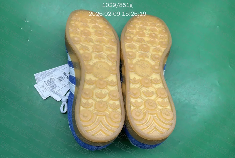 gazelle blue indoor 2
