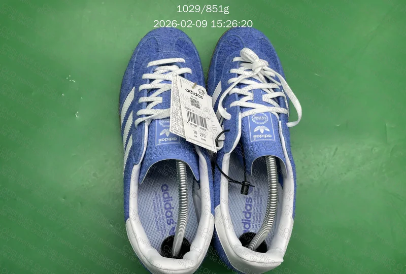 gazelle blue indoor 3