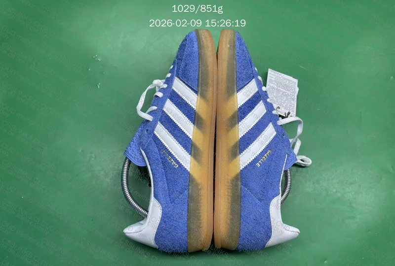 gazelle blue indoor 4