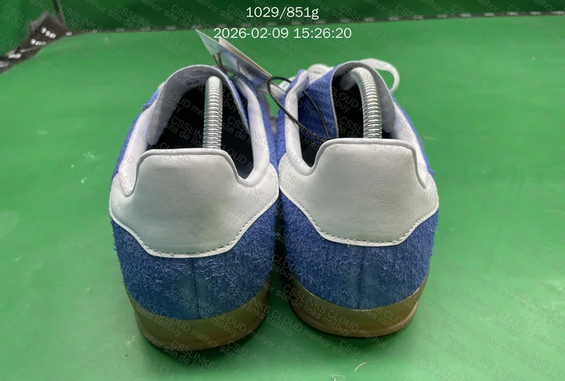gazelle blue indoor 6
