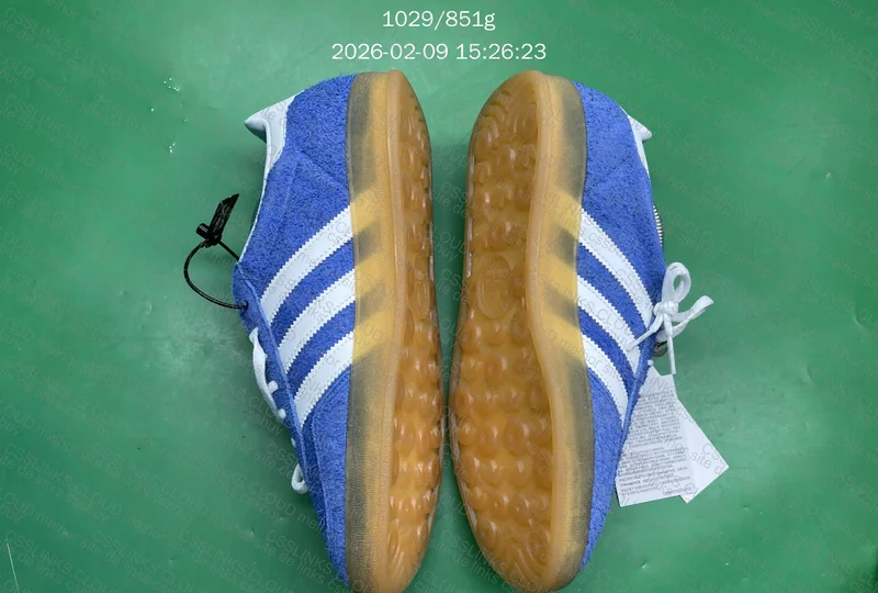 gazelle blue indoor 7